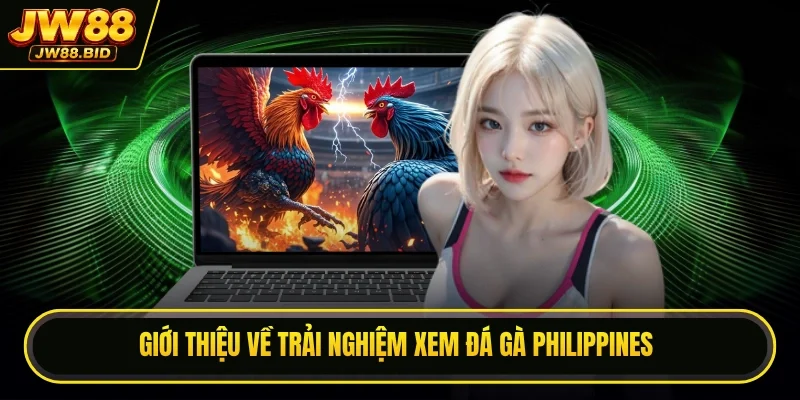 Giới thiệu về trải nghiệm xem đá gà Philippines