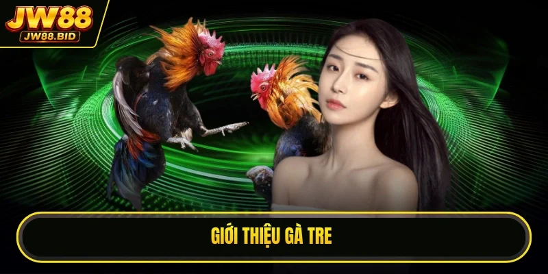Giới thiệu gà che Giới thiệu gà che